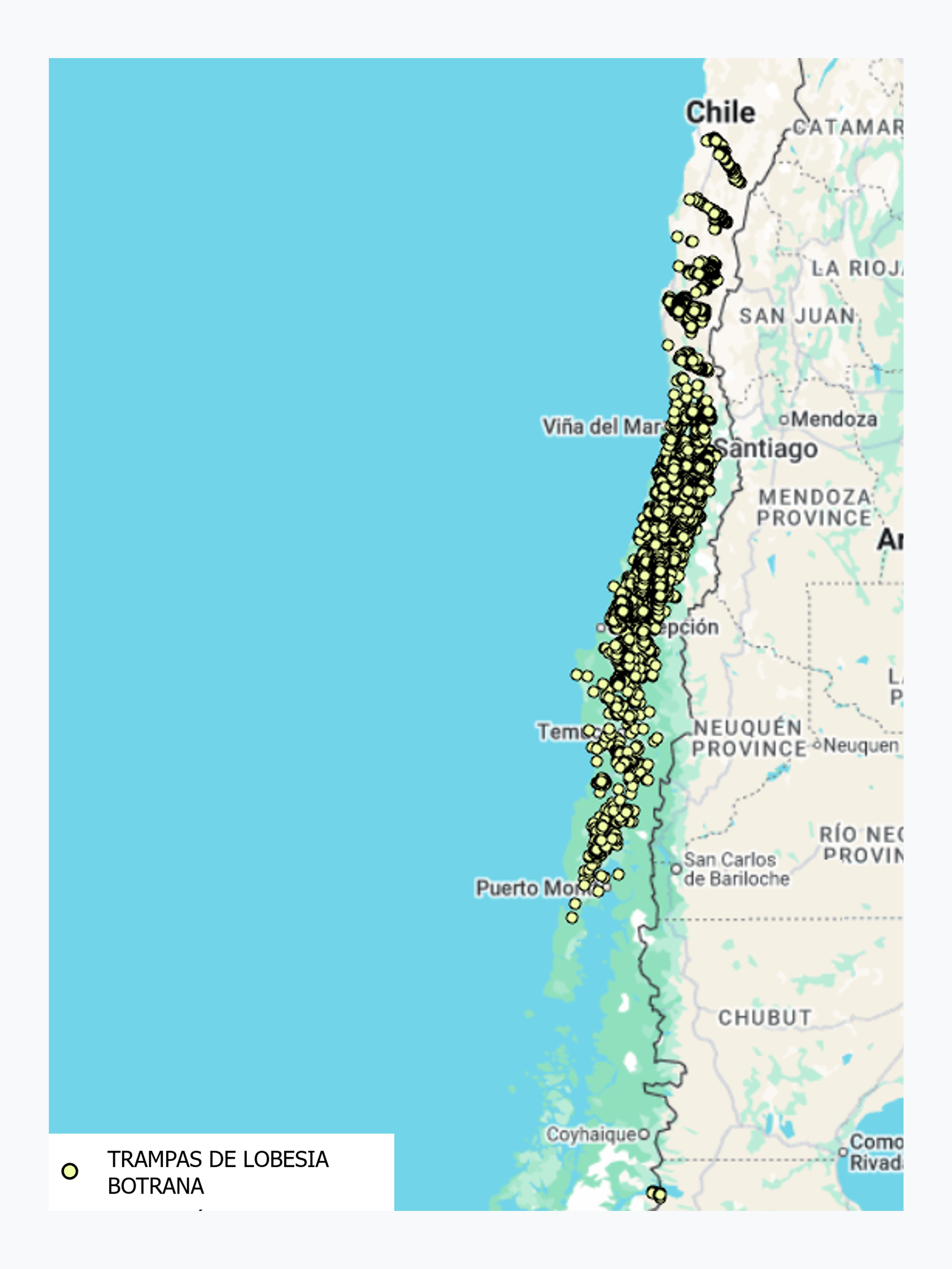 Ubicación de Trampas de Lobesía Botrana durante el año 2023